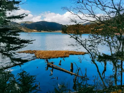 WagonBet Kasyno Aplikacja mobilna